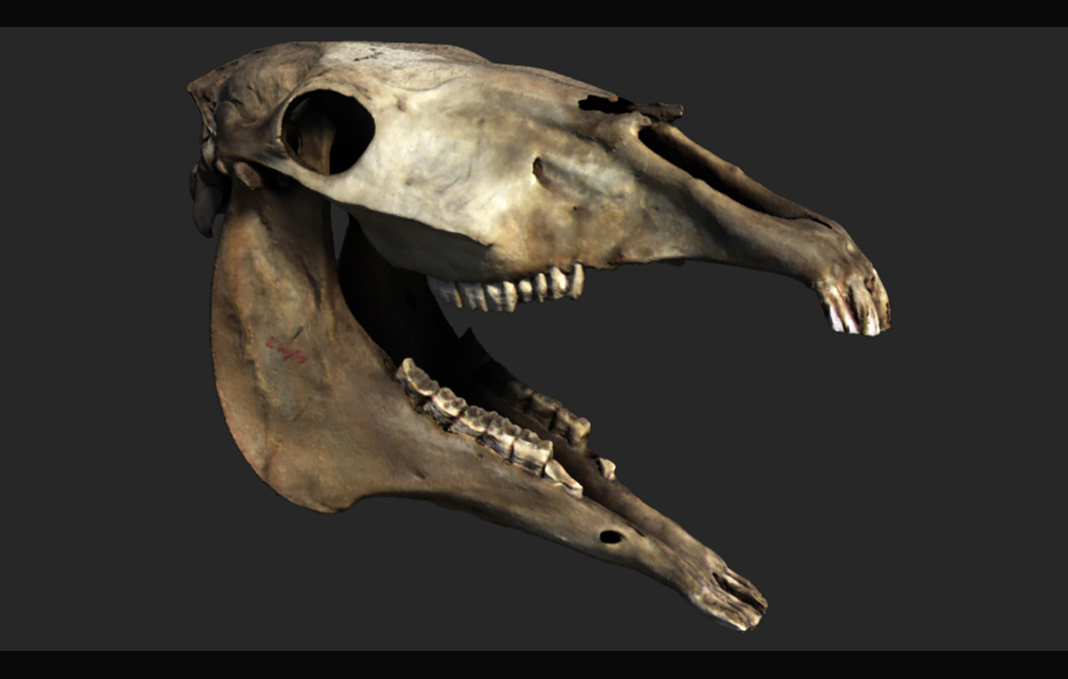Slider Image 1
