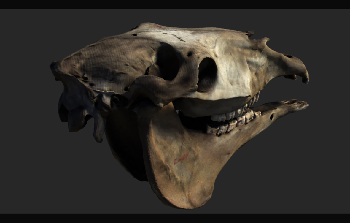 Slider Image 2