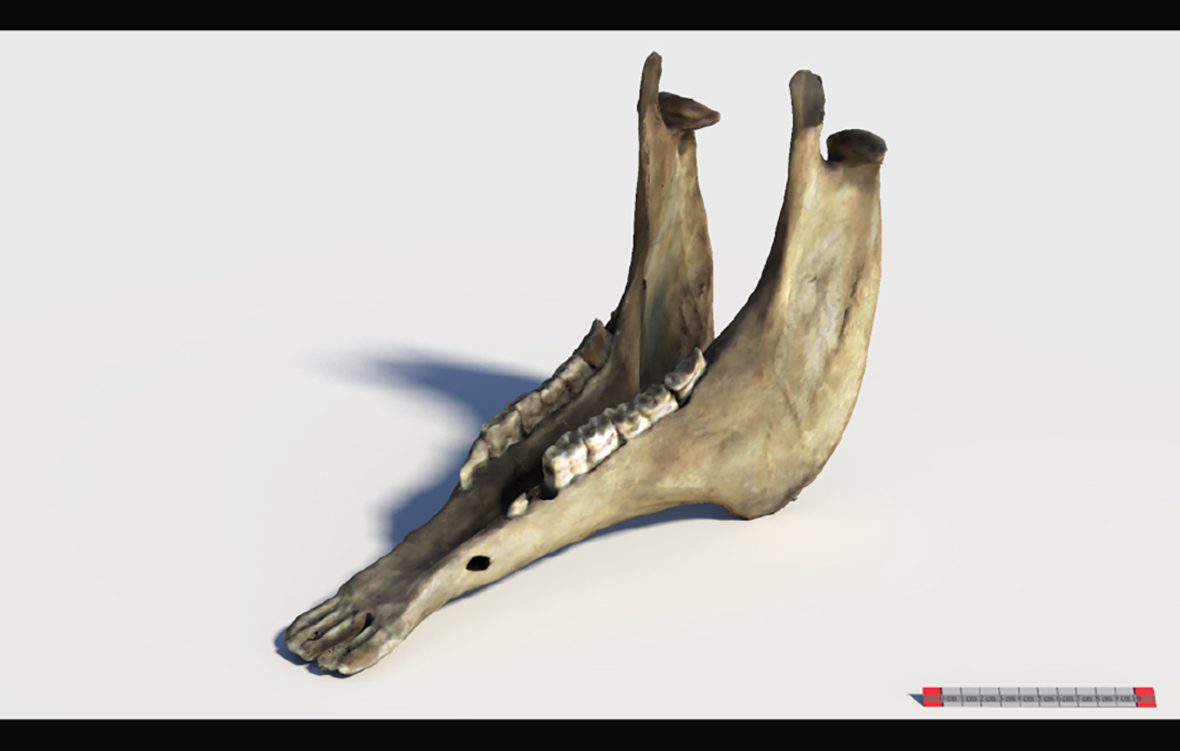 Slider Image 4